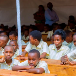 12-year students studying