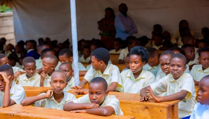 12-year students studying