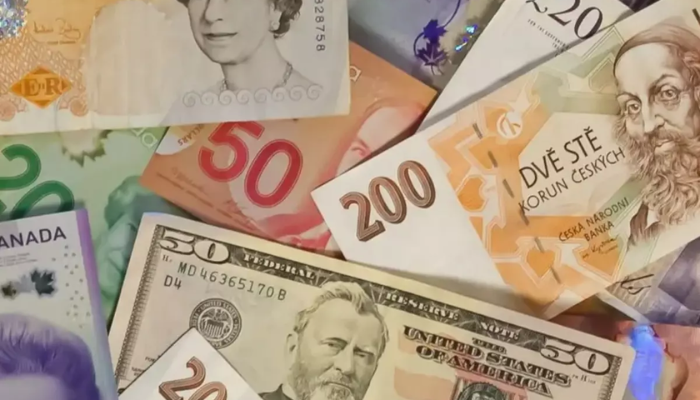 Five countries that do not have their own currency