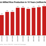 Nigeria’s rice production