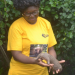 Stakeholders lament illegal trade of pangolins