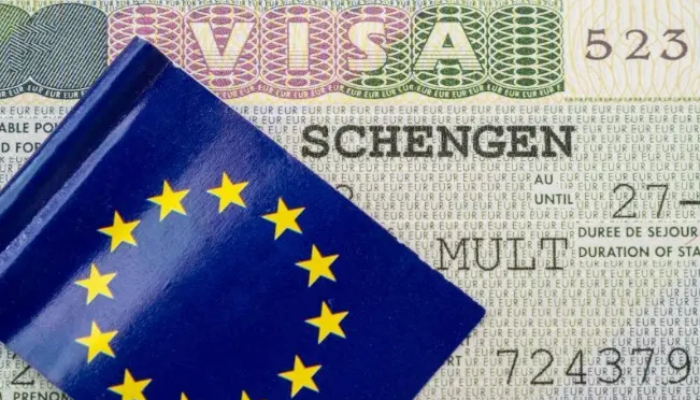 2025: The year Nigerian students pivoted to Schengen countries