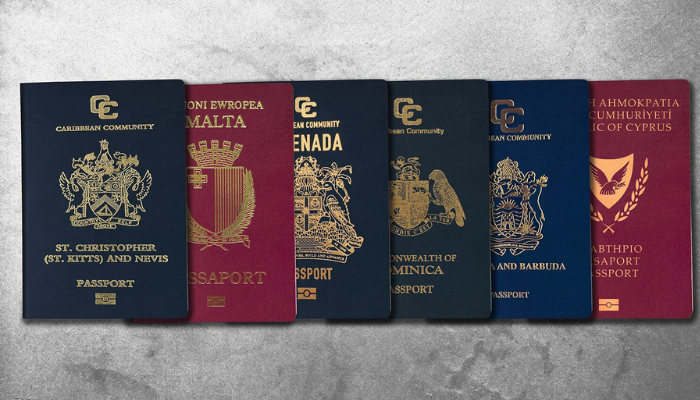 Citizenship by buying property