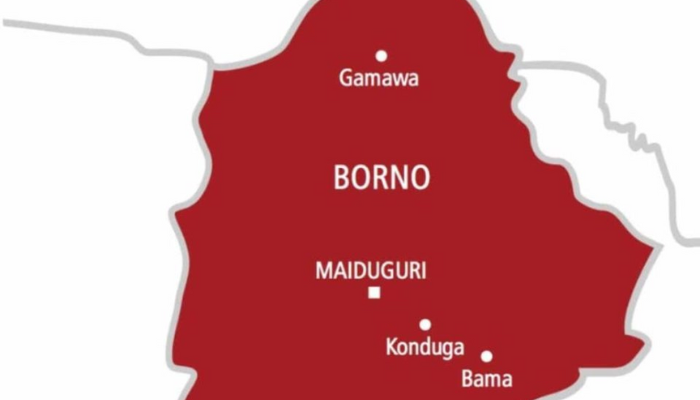 Borno State