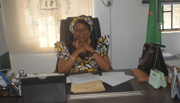 Chima Veronica Anamode on the national library of nigeria