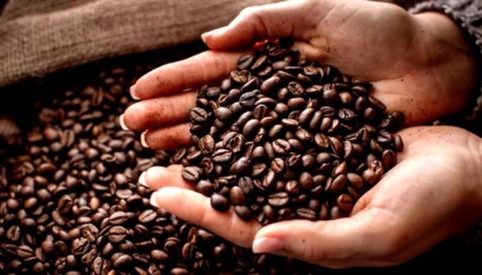 Coffee production in Nigeria