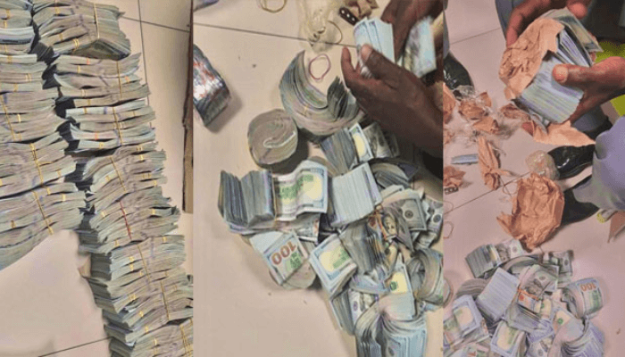 Customs Intercept over $1.1m inside date fruit pack