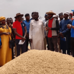 Farmers in Nasarawa State
