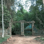 Africa Nature, National Park Service partner to tackle illegal logging