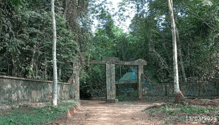 Africa Nature, National Park Service partner to tackle illegal logging