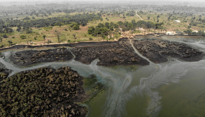 Partnership Initiatives in the Niger Delta