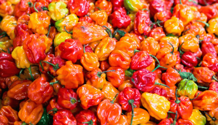 Nigeria pepper