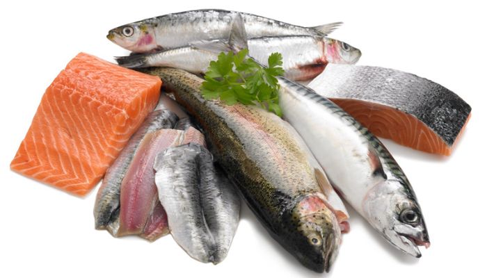 Oily Fish