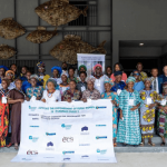 Yemisi Shyllon Museum of Art