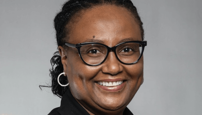 Meet Bajabulile Tshabalala, AFDB presidency candidate prioritising infrastructure development