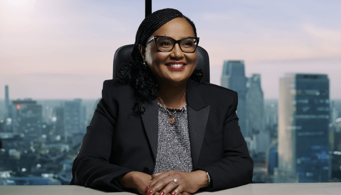 Meet Bajabulile Tshabalala, AFDB presidency candidate prioritising infrastructure development
