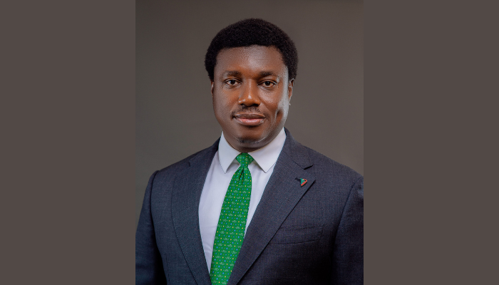 VFD Group partners with Arcadia Africa Day to support 5,000 women-led SMEs