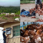 businesses in North East