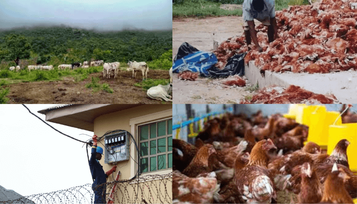 businesses in North East