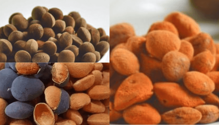 Black Velvet Tamarind