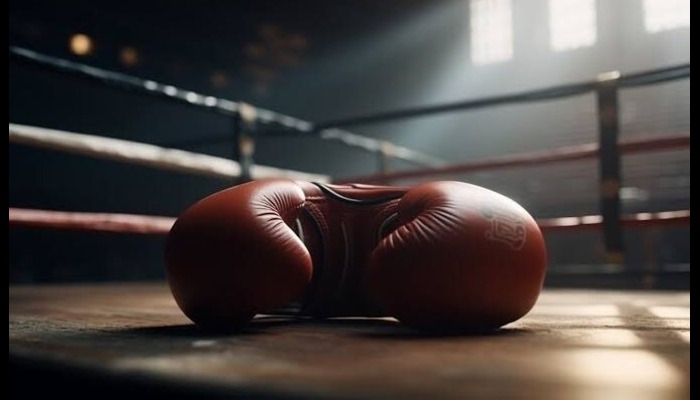 'Chaos in the Ring’ boxing event targets ₦1bn to empower Nigerian communities