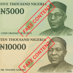 CBN fake naira N10000 N5000 banknotes