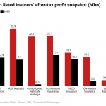 Consolidated Hallmark Holdings