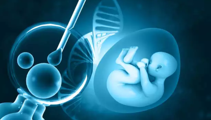 Fertility expert predicts IVF success surge with artificial intelligence