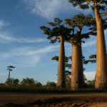 Inside the African island quietly attracting tourists with nature and simplicity