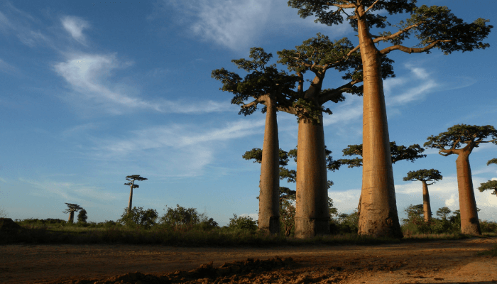 Inside the African island quietly attracting tourists with nature and simplicity