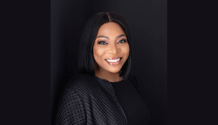 New investment structure to help Nigerian pension funds access infrastructure equity