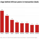 African private capital