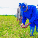 agricultural investment