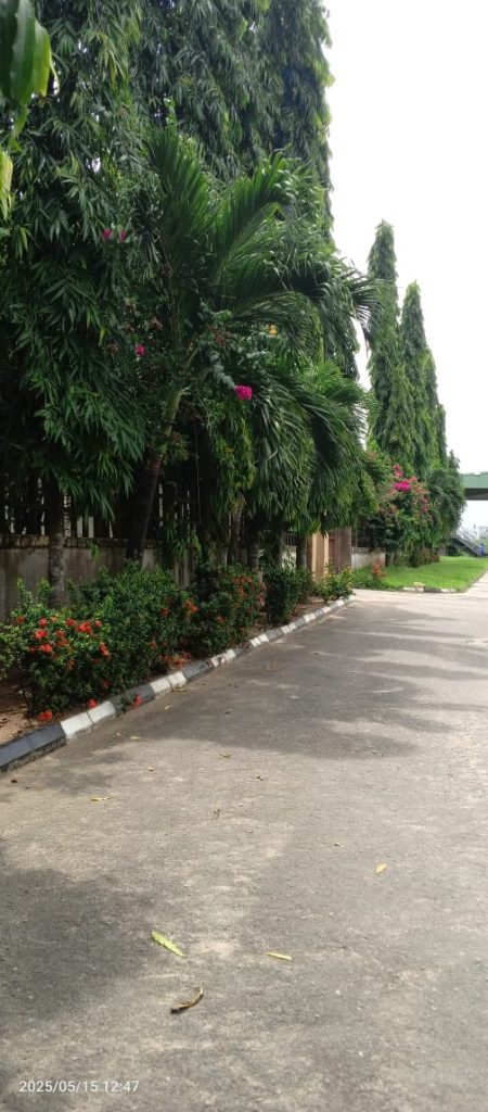 Roads in Indorama Eleme complex