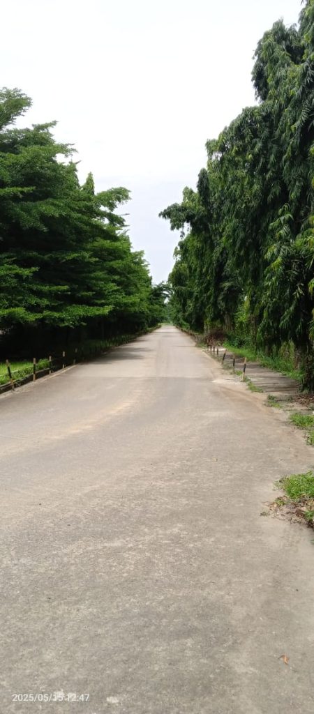 Greenest plant complex in Africa?