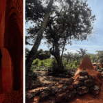 2025 London Design Biennale