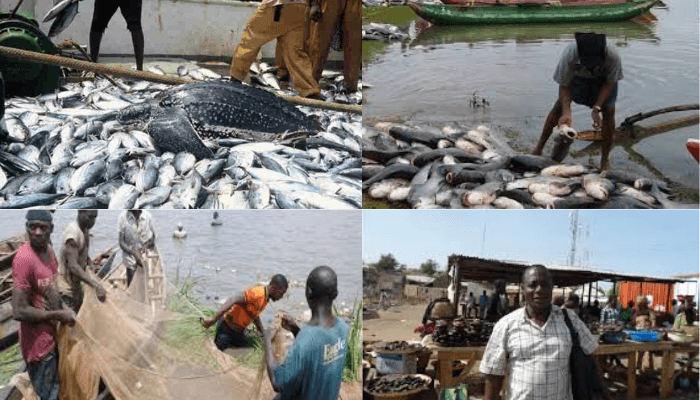 Adamawa’s River Wulum