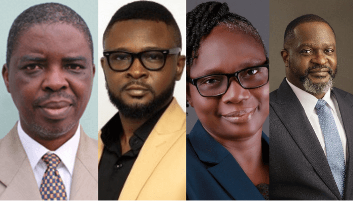 CEOs of Nigeria’s tech companies