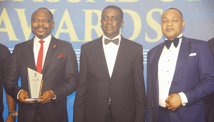 DBN ambassador awards focus on promotion of bankable businesses – MD