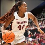 Meet the women of Nigerian heritage dominating the WNBA courts