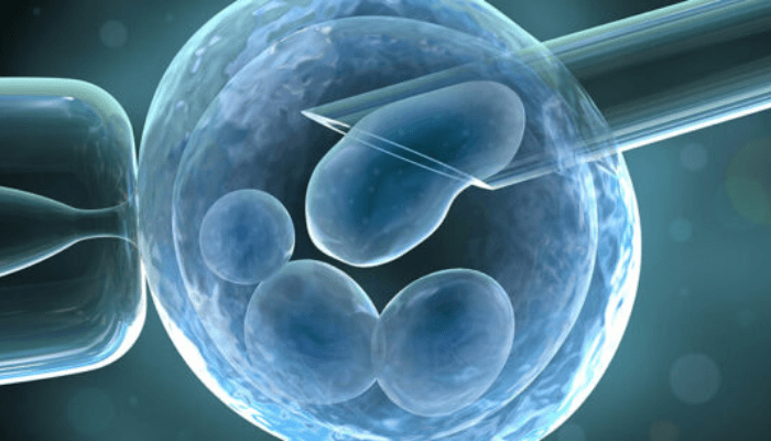 Nigeria fertility market