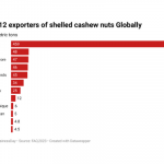 Nigeria’s cashew processors