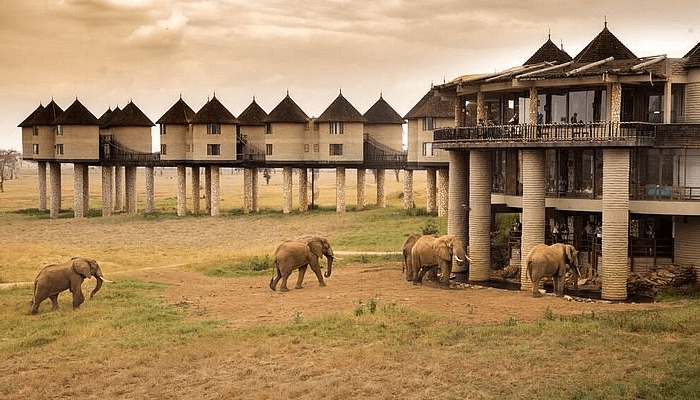 Pollman's Tours and Safaris