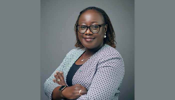 Prudential Zenith Life strengthens leadership with appointment of Chairman, MD/CEO