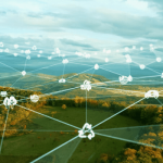 Beyond tech: Why Africa’s competitive edge lies in digital well-being