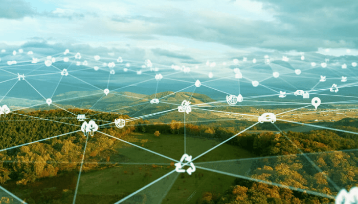 Beyond tech: Why Africa’s competitive edge lies in digital well-being