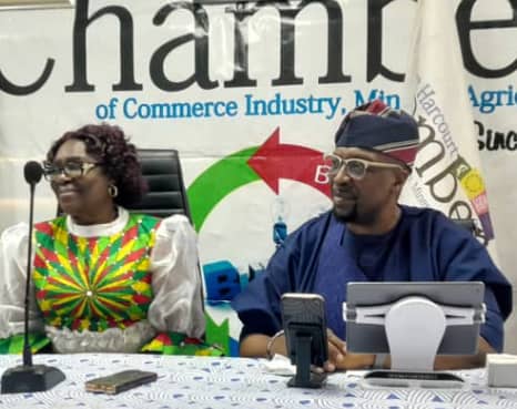 Offshore palm oil plantations in Africa 