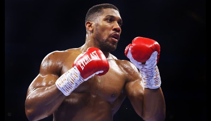 Jake Paul confirms Anthony Joshua fight after Chavez Jr victory