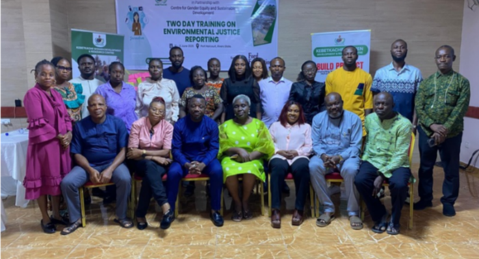 environmental reporting in Niger Delta