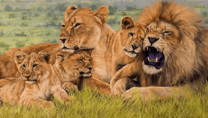 Lions